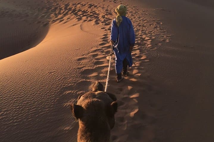 5-Day Casablanca to Marrakech Tour via Fez & Merzouga Desert photo 4