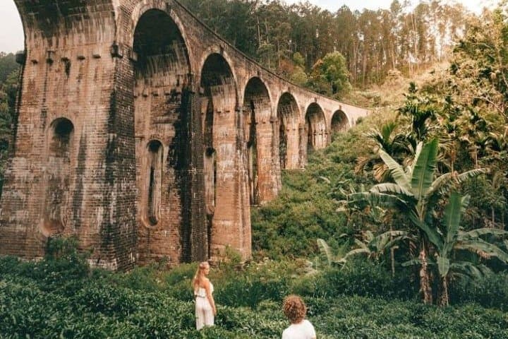 Tropical Ceylon: 8-Day Cultural and Wildlife Circuit from Colombo