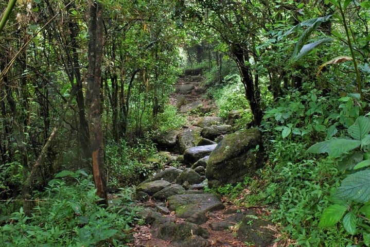 Overnight Adventure Trekking in Knuckles: 2-Day Bambarella Falls & Summit Trek photo 2
