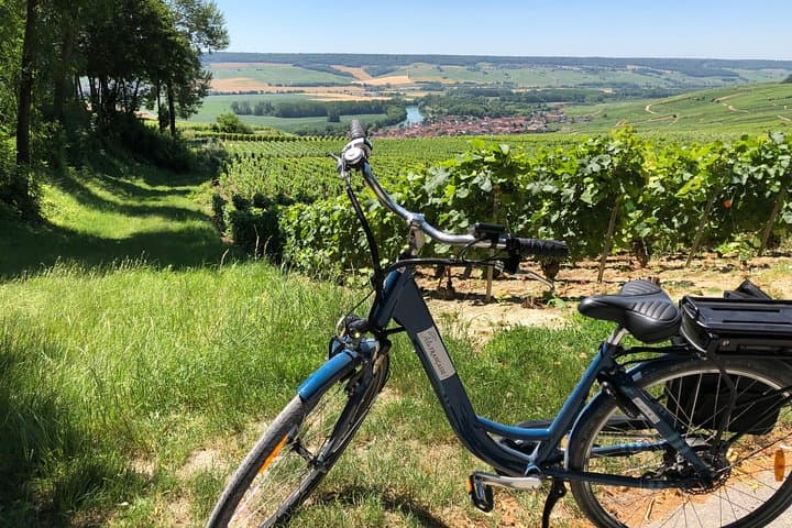 Epernay Full-Day Champagne E‑Bike Tour with Cellar Visit and Lunch photo 3