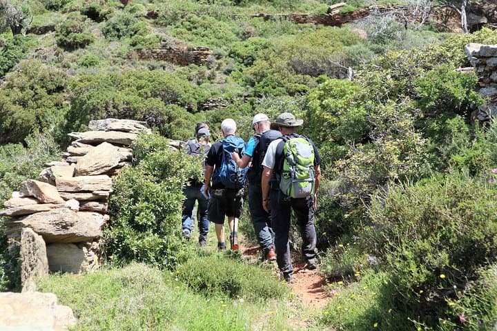 Arni to Lefka: Andros Guided Mountain-to-Beach Hike with Picnic