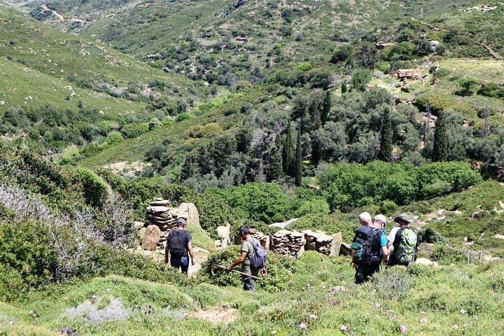 Arni to Lefka: Andros Guided Mountain-to-Beach Hike with Picnic photo 5