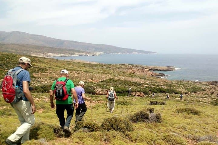 Arni to Lefka: Andros Guided Mountain-to-Beach Hike with Picnic photo 2