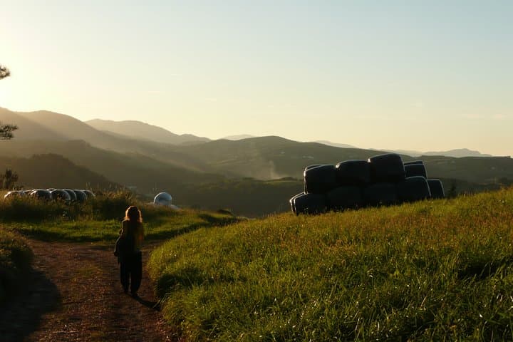 Coastal Camino: Trekking San Sebastián to Pasajes San Juan photo 4