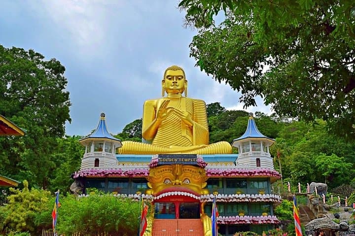 Tropical Ceylon: 8-Day Cultural and Wildlife Circuit from Colombo photo 4
