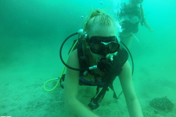 Discover Scuba Diving at Dibba Rock, Fujairah — Beginner-Friendly Day Dive photo 6