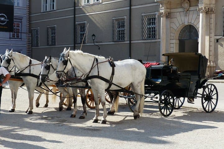 Salzburg & Sound of Music Lake District: Private Full-Day Tour from Vienna photo 6