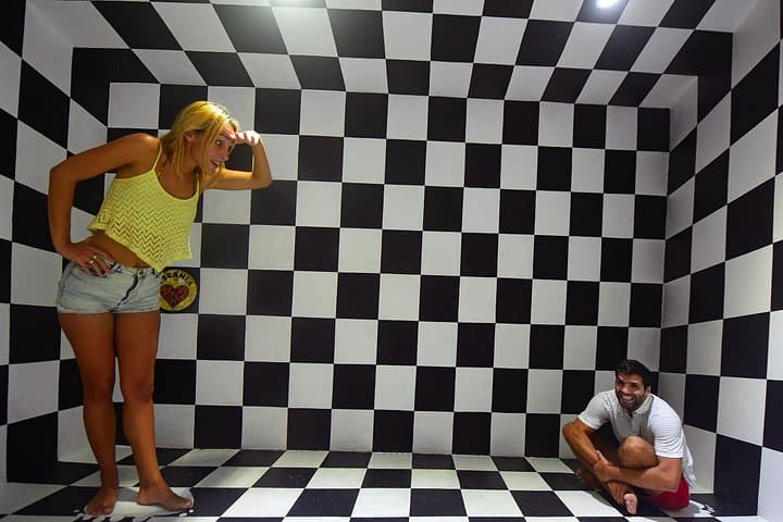 Xenses Sensory Park: A Practical Guide to the Half-Day Adventure Near Playa del Carmen photo 2