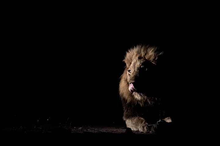 Joining Tanzania Safari Groups: Day Game Drive to Tarangire & Lake Manyara