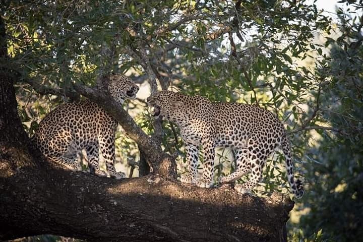 Joining Tanzania Safari Groups: Day Game Drive to Tarangire & Lake Manyara photo 5