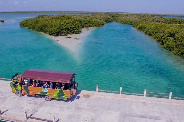 Sian Ka'an Biosphere Tour: Punta Allen Boat & Snorkel from Cancun photo 2