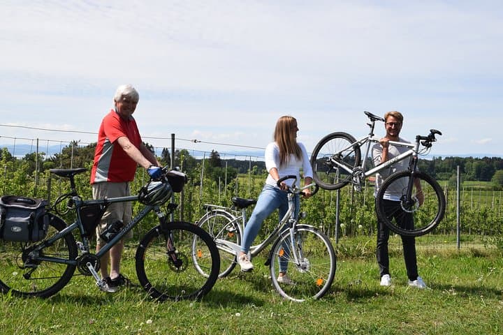 Lake Constance Guided Bike Tour: Lindau to Pfänder & Bregenz Highlights photo 3