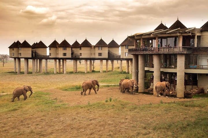 2-Day Taita Hills Safari from Mombasa — Ngutuni & Salt Lick Lodge Game Drives