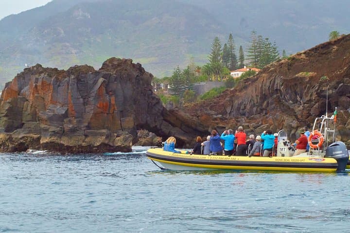 Cais do Sardinha to Quinta do Lorde: Madeira’s Eastern Coast by Boat