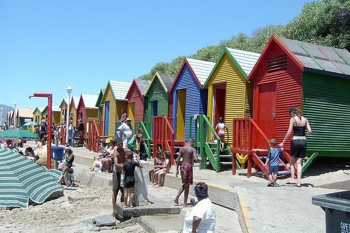 Cape Peninsula & Kirstenbosch Full-Day: Penguins, Peaks, and Fynbos photo 2