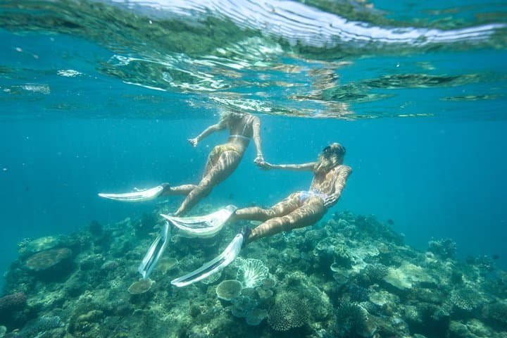 Great Barrier Reef Cruise from Townsville or Magnetic Island — Snorkel & Dive Day Trip photo 4