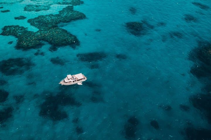 Great Barrier Reef Cruise from Townsville or Magnetic Island — Snorkel & Dive Day Trip photo 3