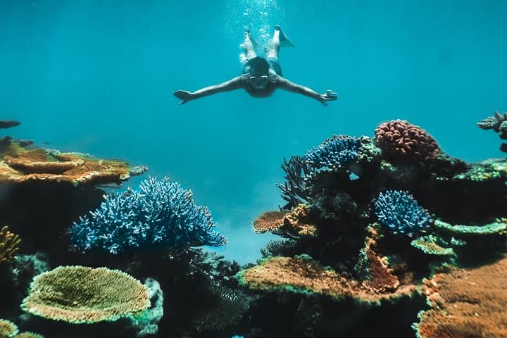 Great Barrier Reef Cruise from Townsville or Magnetic Island — Snorkel & Dive Day Trip photo 2
