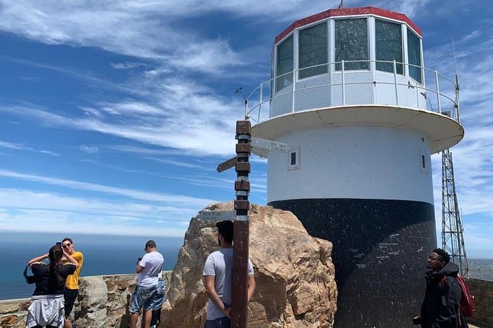 Cape Peninsula & Kirstenbosch Full-Day: Penguins, Peaks, and Fynbos photo 5