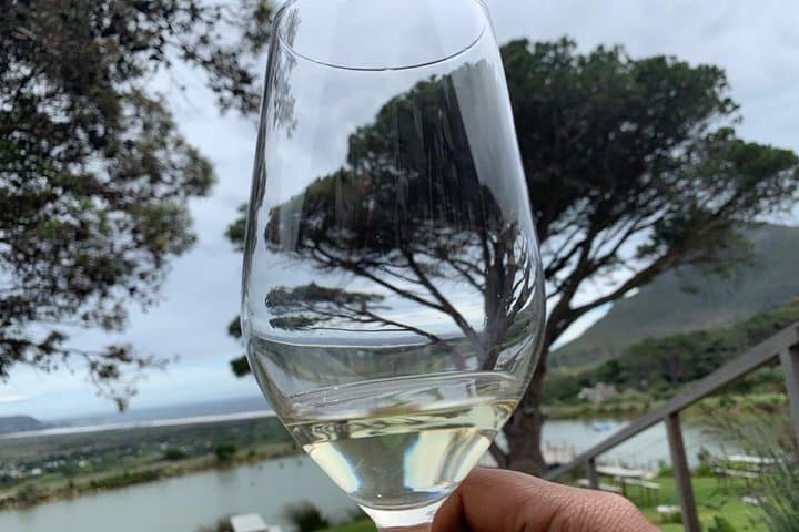 Full-Day Table Mountain & Cape Town City Center Guided Tour photo 4