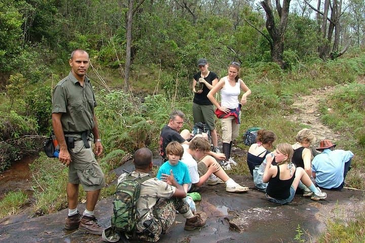 Overnight Trekking to Meemure: Two-Day Knuckles Range Trek from Kandy photo 3