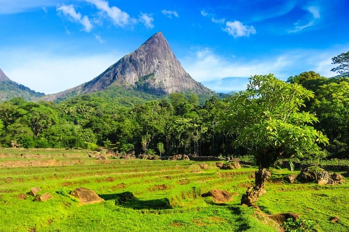 Overnight Trekking to Meemure: Two-Day Knuckles Range Trek from Kandy photo 4