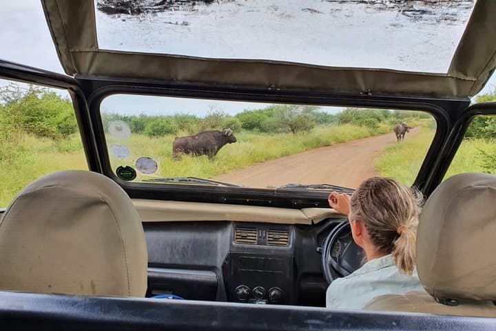 3-Day Kruger Overnight Safari: Big Five Game Drives & Marloth Park Lodge photo 6