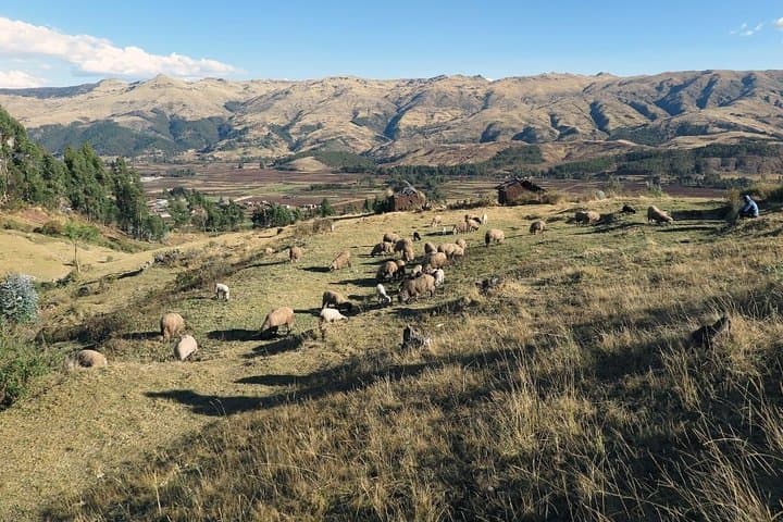 Two-Day Sacred Valley and Machu Picchu: Fast-Track From Cusco photo 4