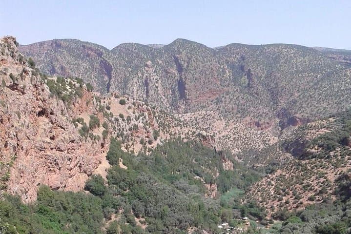 Ouzoud Falls One-Day Trip from Marrakech — Waterfalls, Olive Groves & Berber Life photo 5