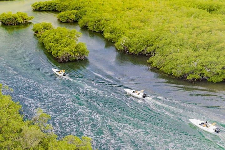 Nichupté Lagoon Jungle Tour: Mangroves & Punta Nizuc Snorkel (Couples) photo 6