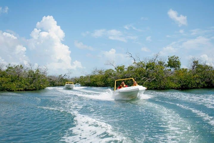 Nichupté Lagoon Jungle Tour: Mangroves & Punta Nizuc Snorkel (Couples) photo 5