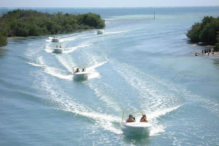 Speedboat Jungle Tour & Snorkel at Punta Nizuc — Nichupté Mangroves photo 4
