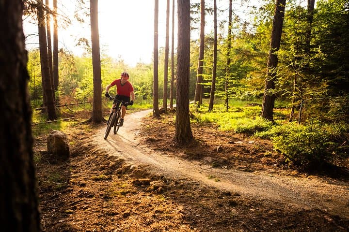 Ljubljana MTB Trail: Urban Singletrack Through the Capital's Forests