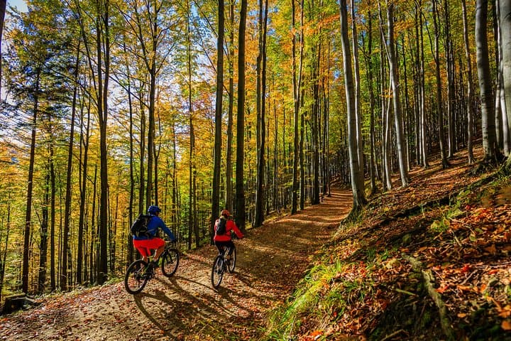 Ljubljana MTB Trail: Urban Singletrack Through the Capital's Forests photo 2
