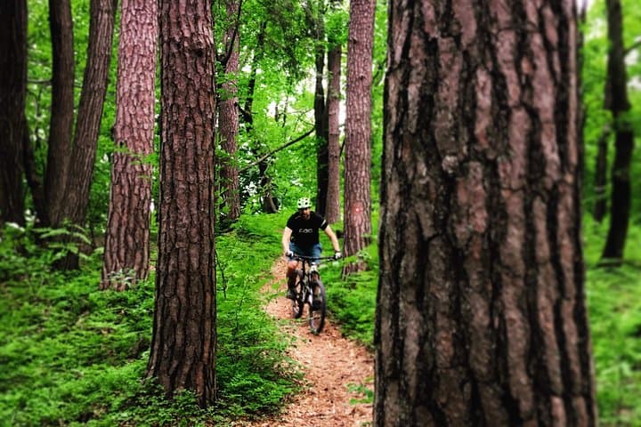 Ljubljana MTB Trail: Urban Singletrack Through the Capital's Forests photo 3