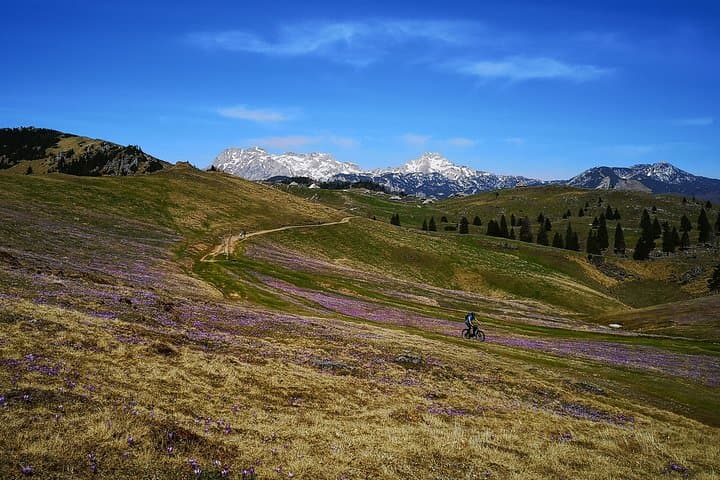 Velika Planina Mountain Biking — E‑Bike Trails Above Ljubljana photo 6