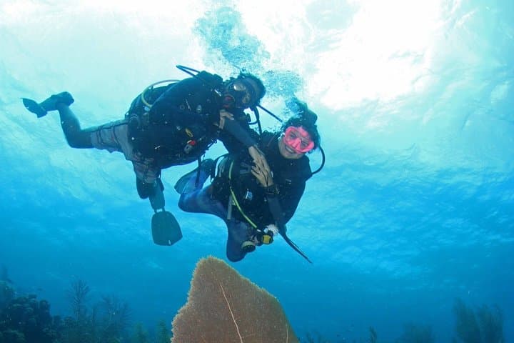 Guided Shore Dive in Curaçao — One-Tank Shore Dive for Certified Divers photo 2