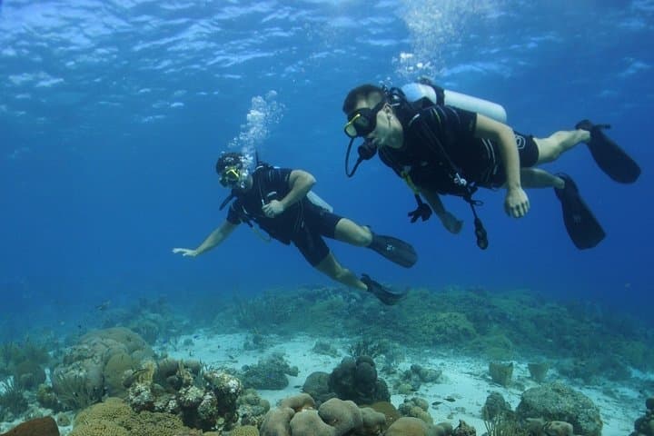 Guided Shore Dive in Curaçao — One-Tank Shore Dive for Certified Divers