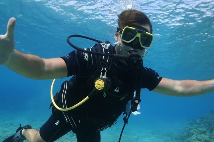 Guided Shore Dive in Curaçao — One-Tank Shore Dive for Certified Divers photo 6