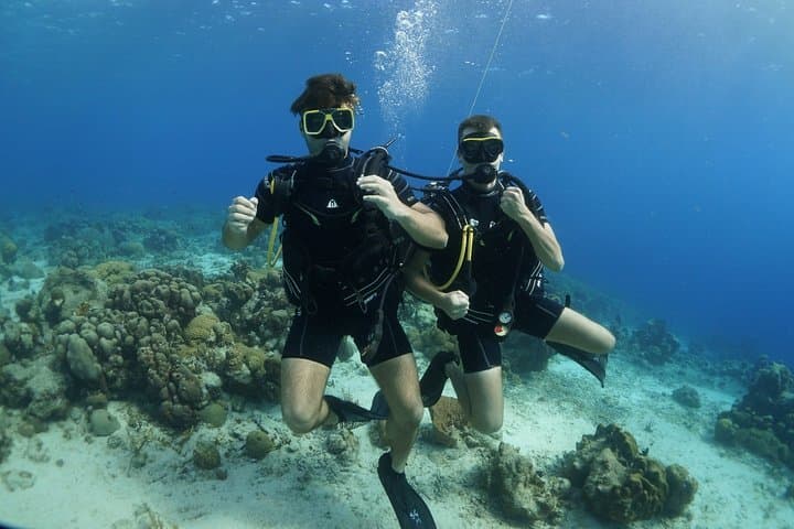 Curacao Guided Shore Dive: Two-Tank Reef, Drop-Off and Wreck Exploration with Scubaçao photo 5