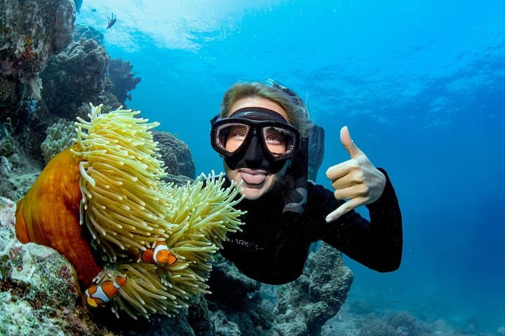 Great Barrier Reef Full-Day Snorkel and Dive Tour from Cairns photo 4