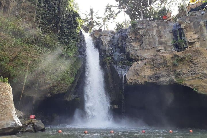 Ubud Swing, Tegalalang Rice Terrace & Water Temple Day Tour photo 3