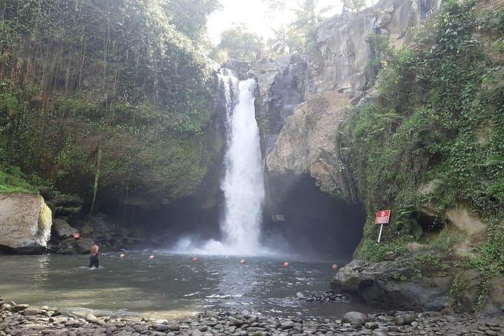 Balinese Healing and Tirta Empul: Temple Purification, Coffee, and Tegenungan Waterfall photo 6