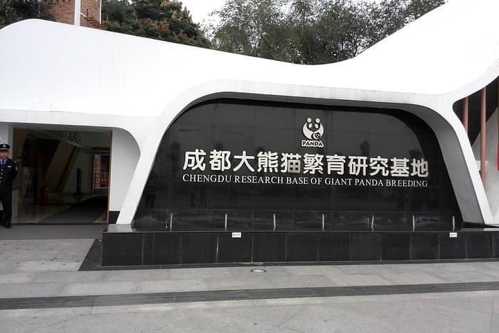 See Giant Pandas in Chengdu: Day Trip from Beijing with Wuhou Shrine photo 2