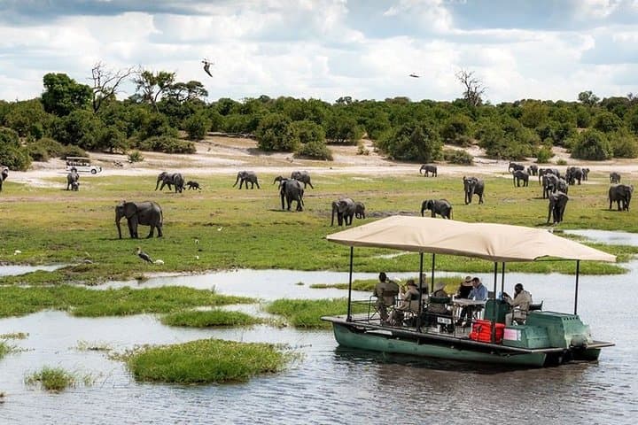 Chobe Day Trip From Livingstone — Game Drive and Chobe River Cruise photo 5