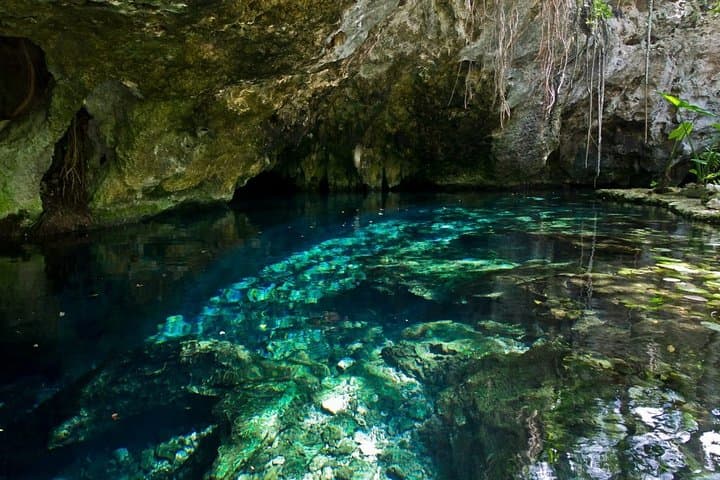 Coba Pyramid & Sac Actun: A Private Day Exploring Maya Ruins and the Riviera Maya’s Underground River photo 4