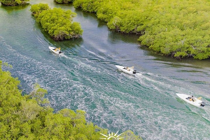 Speedboat Jungle Tour to Punta Nizuc: Mangroves, Lagoon & Snorkel in Cancún photo 3