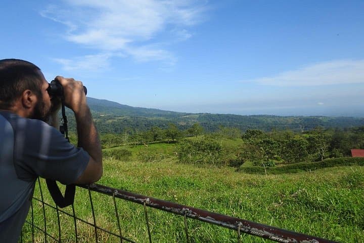 La Fortuna Birdwatching: Guided Birding Tour Near Arenal Volcano photo 4