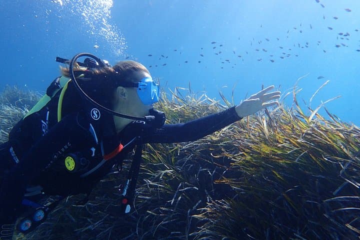 Boat Scuba Diving in Mallorca: Introductory Dives on the East Coast photo 6