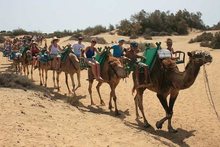 Maspalomas Dunes e‑Scooter & Camel Ride: Electric Chopper Tour in Gran Canaria photo 5